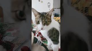 6 De Janeiro De 2023