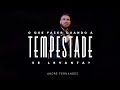 O QUE FAZER QUANDO A TEMPESTADE SE LEVANTA? - ANDRÉ FERNANDES