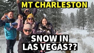 Experiencing Mt Charleston Snow In Nevada For The First Time: Walking Tour