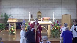 Daily Mass, June 1, 2026