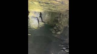 IMG 0558