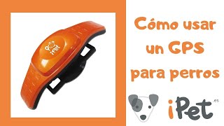 🐕🐕 LOCALIZADOR GPS para PERROS, COMO FUNCIONA  -  iPet tracker 🐕🐕