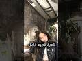 قاهرة قطيع كامل تواتشا توانا çağtu Tuananaztiryaki غنى لمتابعينها 
