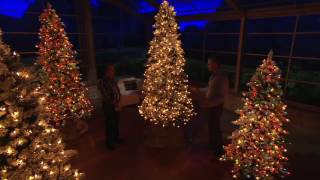 Bethlehem Lights Woodland Pine Christmas Tree with Instant Power on QVC
