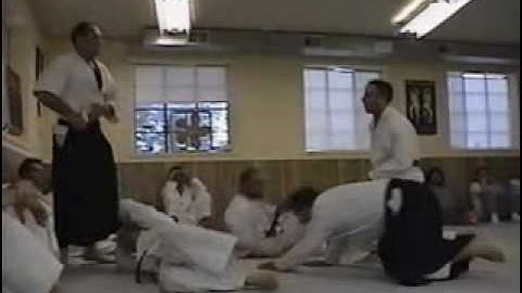 Aikido Dealing with Multiple Attackers (004)