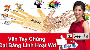 Vân Tay Chủng Đại Bàng Linh Hoạt Wd | Phân Tích Vân Tay Chủng Đại Bàng Linh Hoạt Wd
