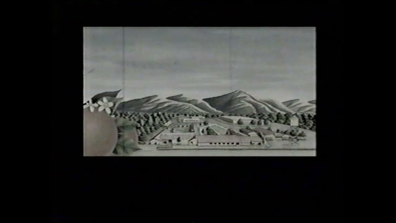 Franklin/Waterman Worldwide/Santa Ventura Studios/Partner Stations Network/Pearson Television (1998)