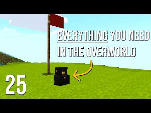 The MOST ORGANIZED of the server - VaultCrafters episode 25
