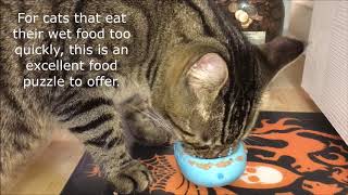 Wet Food Puzzles - Food Puzzles for Cats