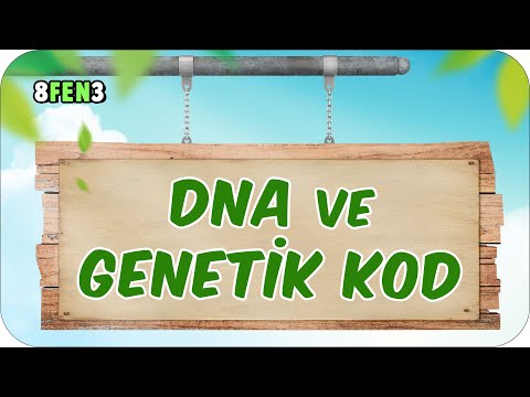 DNA ve Genetik Kod 🧬 tonguçCUP 1.Sezon - 8FEN3 #2024LGS