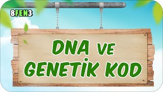 DNA ve Genetik Kod  tonguçCUP 1.Sezon  8FEN3 #2024LGS