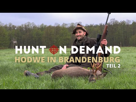 Jagdwoche in Brandenburg Hunt on Demand Weekend Teil 2 Trailer