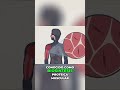 ¡Proteína: El secreto para músculos fuertes y crecimiento! #shorts