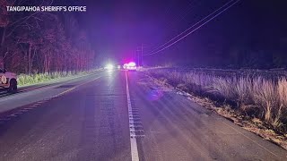 TPSO: Armed suspect sought in Amite after allegedly shooting police officer, car theft