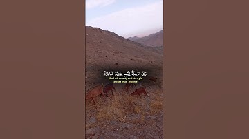 تلاوة هادئة 🎙️ الشيخ ياسر الدوسري 🎧 #اكسبلور #المصحف #راحة_نفسية