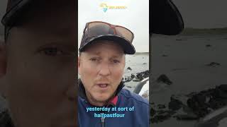 Killer whale stranding in South Africa | Animal Observations