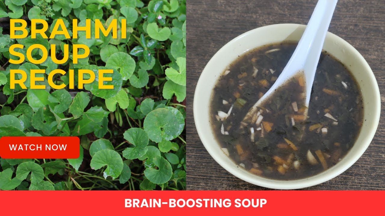 Brahmi Leaves Soup Ondelaga Soup How to Make Brahmi Leaves Soup Memory Power Booster YouTube