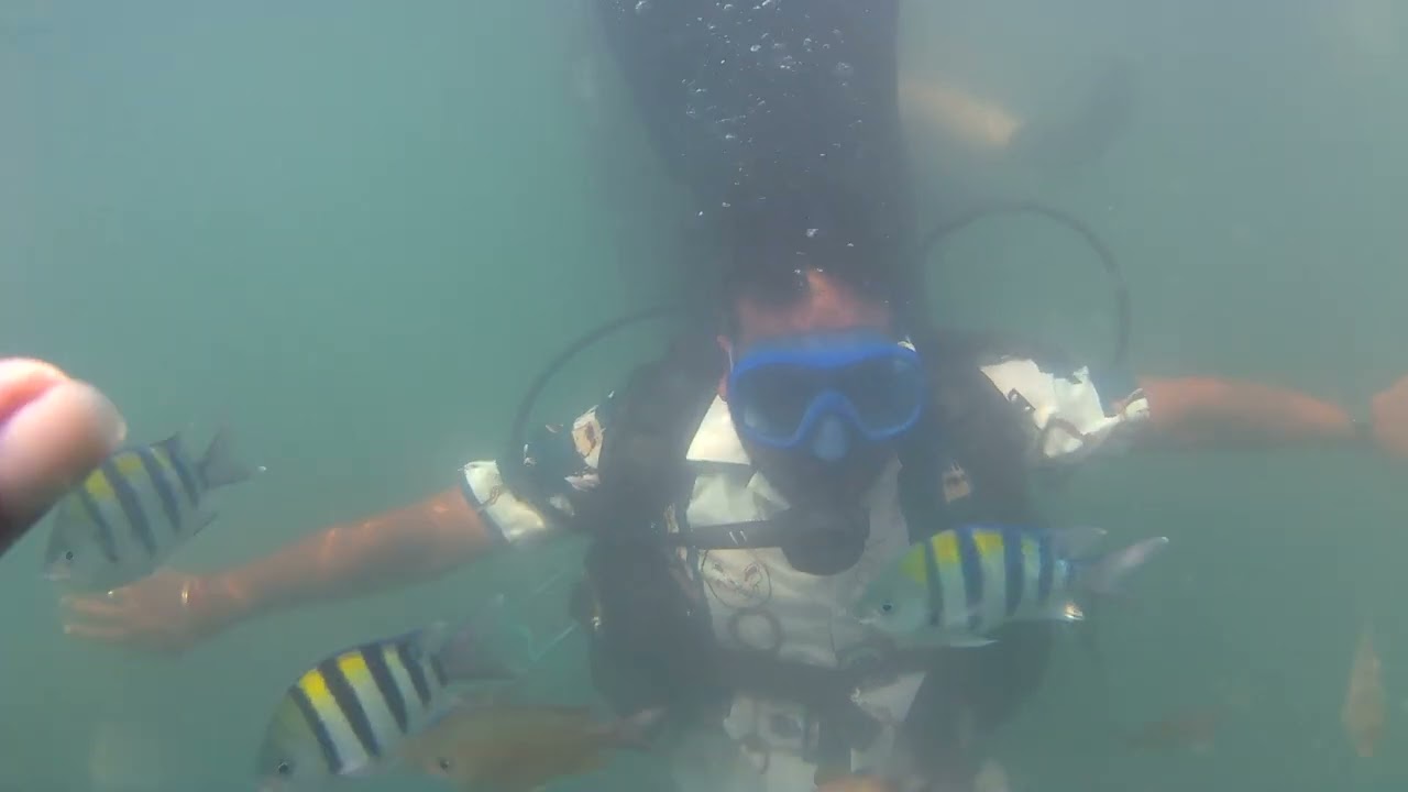 Scam alert in Goa | Be cautious while going Scuba diving in Goa | Goa Scam