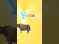 ABC Learning | Letter Y for Yak | ABC Phonics for Kids#kidslearning #learning #alphabetlearning