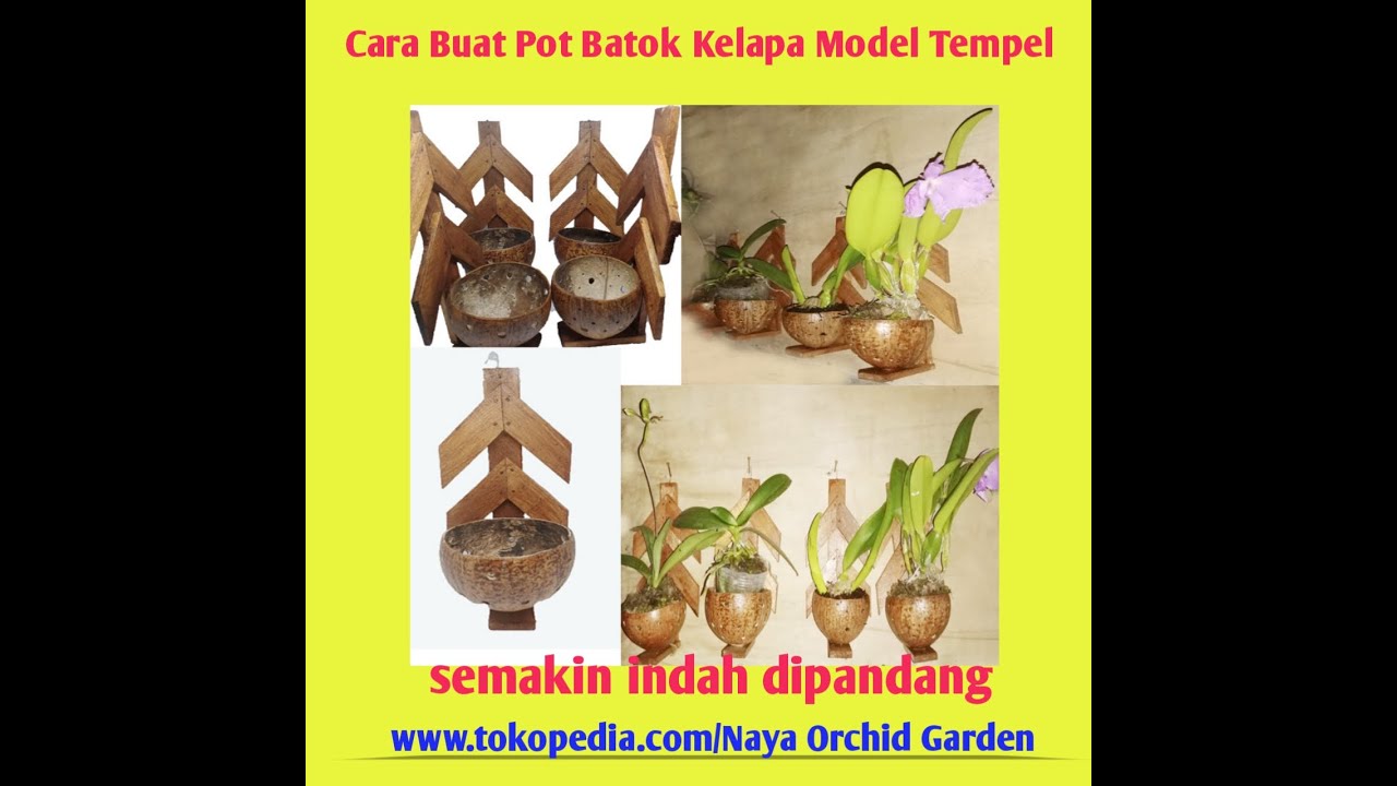 Tutorial cara pembuatan Pot  Batok Kelapa Model Tempel 