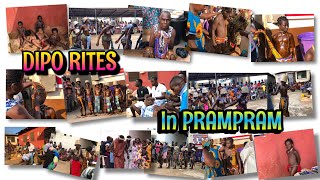 The Beautiful African Dipo Rites in my Hometown// PRAMPRAM//OSUWEM CLAN