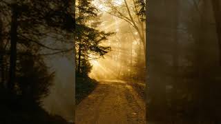 Upbeat Vlog and Event (Vlog No Copyright Music) #shorts #nocopyrightmusic