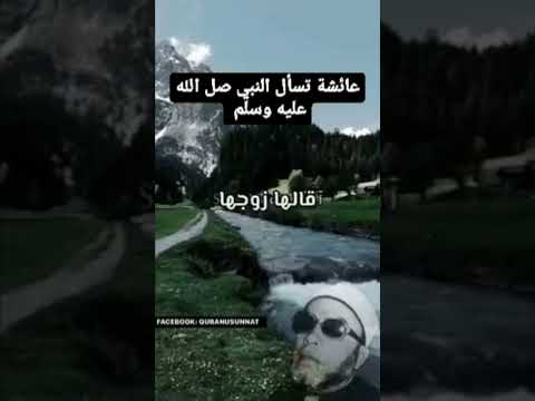 الشيخ كشك يتكلم عن طاعه الزوجه الي زوجها كشك دينيه محتوى ديني
