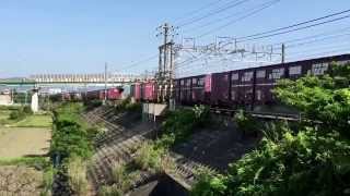 【東海道本線貨物列車/豊川放水路橋梁】1071レ EF210-103牽引