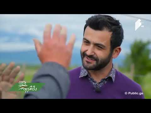 როგორ დავეხმაროთ დასეტყვილ ვენახს - გადაცემა ფერმა