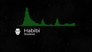 Habibi Breakbeat