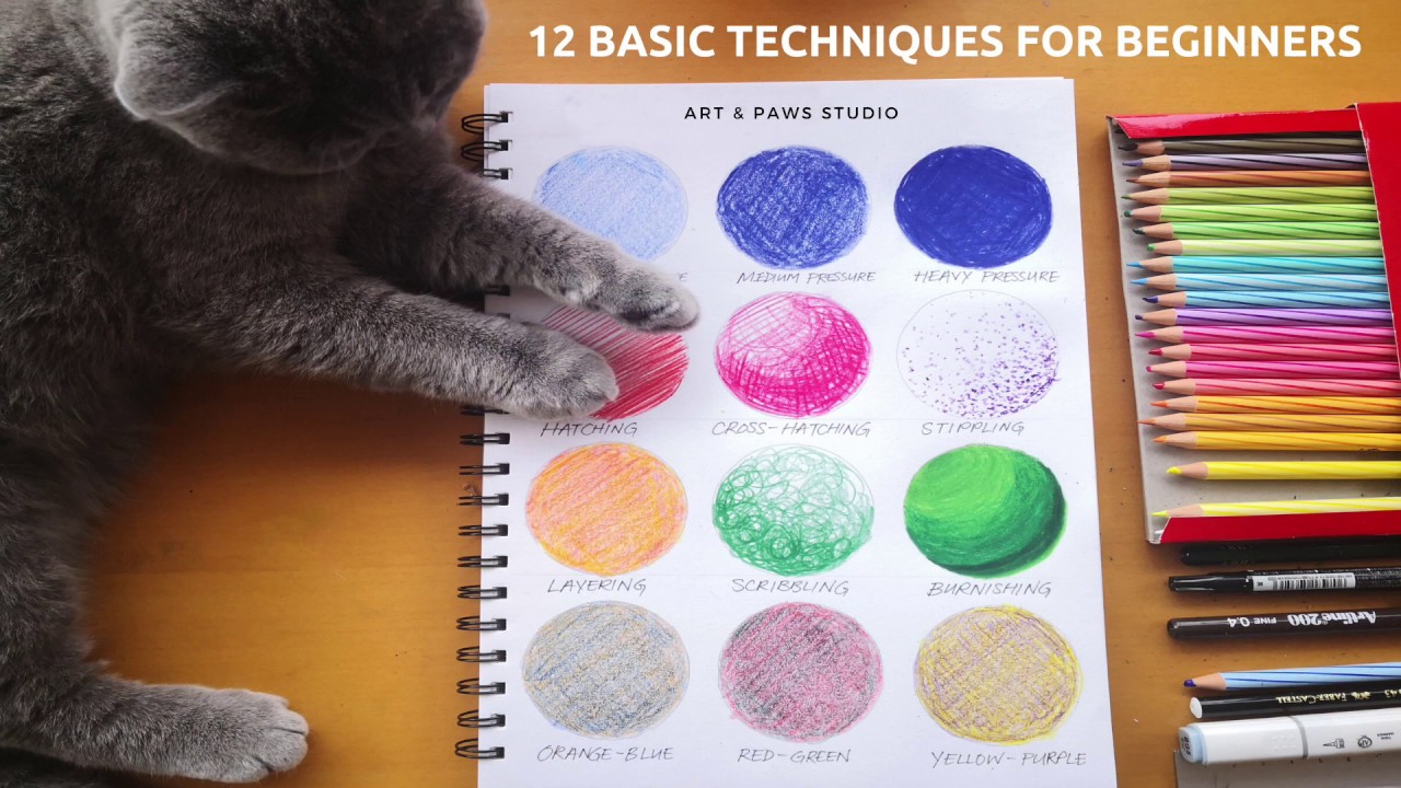 How to Use Coloured Pencils? Basic Techniques for Beginners YouTube