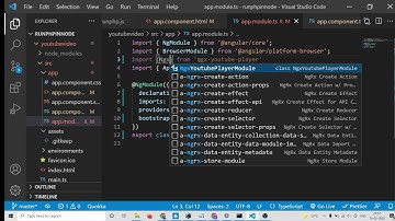 Angular 13 Youtube Video Player Example With Controls to Embed Videos Using ngx-youtube-player in TS