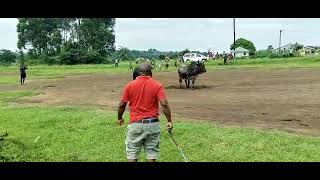 Mabalengwe No Sobanazo