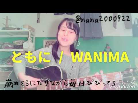 ともに / WANIMA 【弾き語り】【女子高校生】