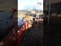 Так то страшно!)#медведи #медведь#хищник