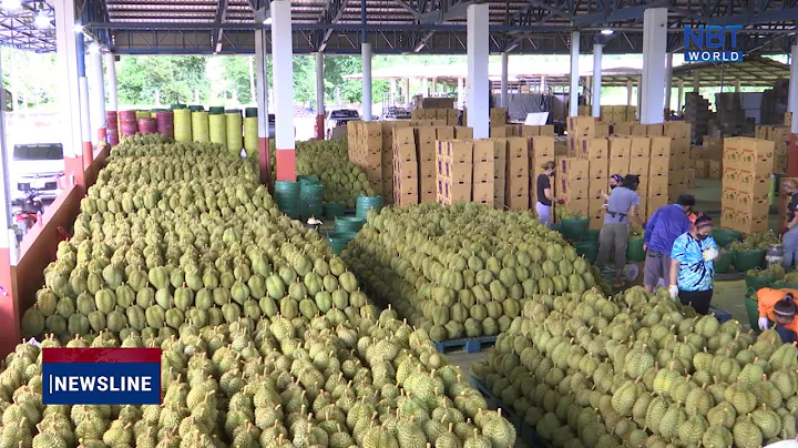 Thai durian sold out at China’s Hainan Expo - DayDayNews