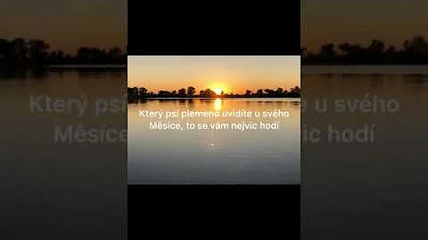Co je slintání u psa?