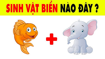 Đố Vui Đuổi Hình Bắt Chữ Đoán Tên Các Loài Sinh Vật Biển | Nhanh Trí