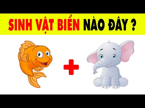 Đố Vui Đuổi Hình Bắt Chữ Đoán Tên Các Loài Sinh Vật Biển | Nhanh Trí