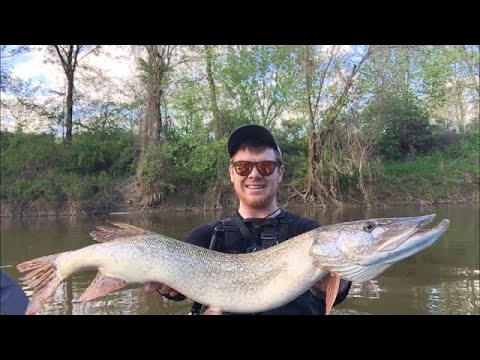 Top 5 Best Pike Lures! 
