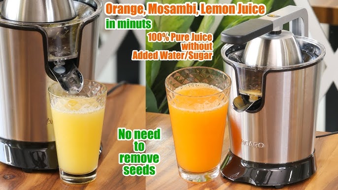 Stainless Steel Electric Juicer Machine - 160W Power Juice Press, Citrus  Juicer & Squeezer Masticating Machine - Easy to Clean - Includes Handle 