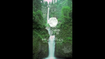 ارح سمعك...تلاوة هادئة تريح القلب والعقل للقارئ الشيخ عبد الرحمن مسعد 🖤