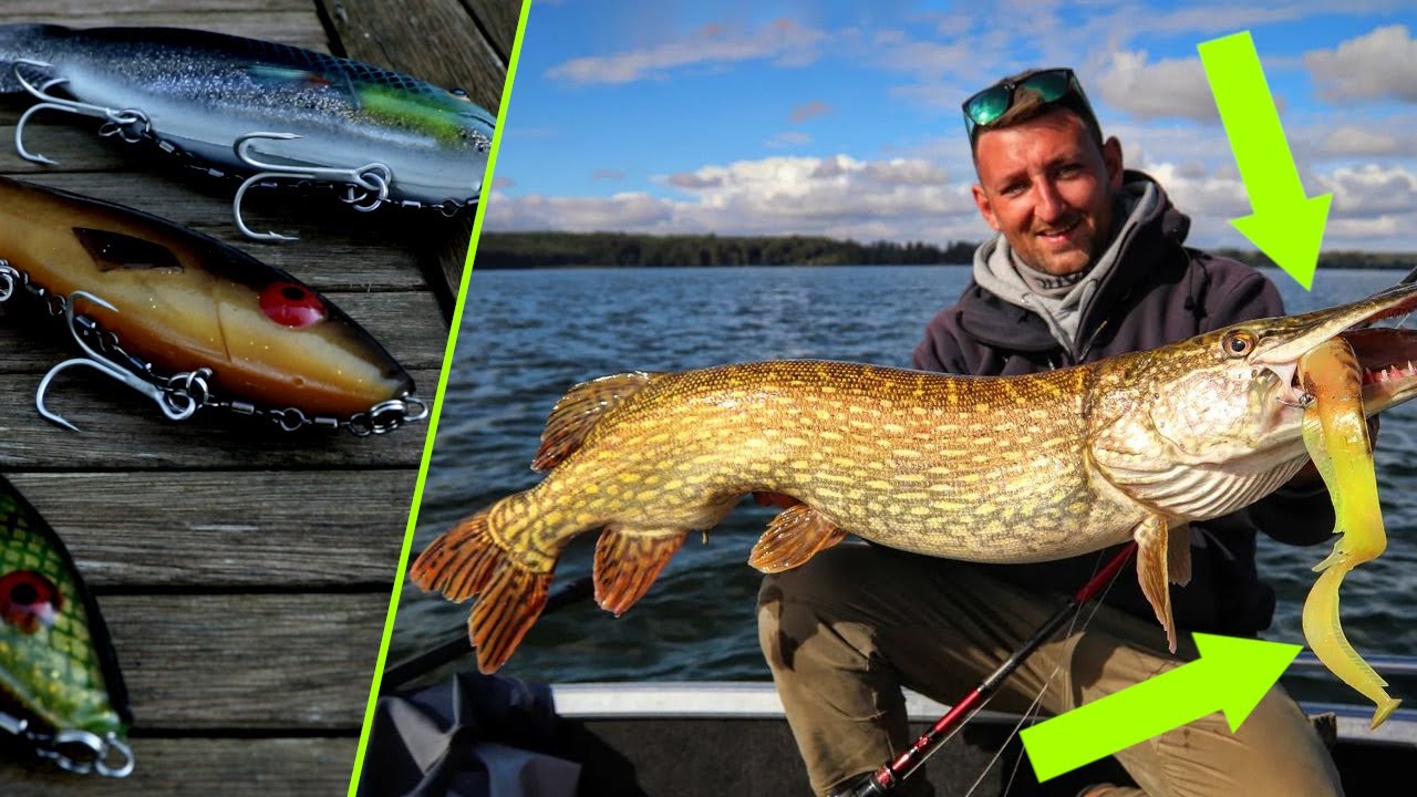 Hecht angeln mit BIG BAITS - Tipps fr Gator Kder