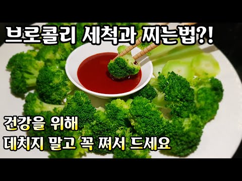 브로콜리 삶지 마세요! [영양분 파괴없이 알차게 먹는 방법] 세척이 까다로운 브로콜리 깨끗하게 세척하는 법! steamed broccoli