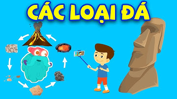 Vòng tuần hoàn của CÁC LOẠI ĐÁ | Kiến Thức Thú Vị | Hoạt Hình Giáo Dục