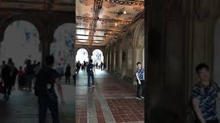 NYC Busker - Cover Of All OF Me By John Legend On A Classical Guitar 7-30-18 in Central Park