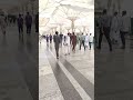 EL FHATIA Quranrecitation Haram Hajj2025 Viral Video Shortvideo Subscribe Vews Madinah EL FHATIA Quranrecitation Haram Hajj2025 Viral Video Shortvideo Subscribe Vews Madinah