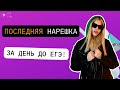 НАРЕШКА ЗА ДЕНЬ ДО ЕГЭ | ЕГЭ ПО РУССКОМУ | ЕГЭ FLEX