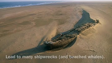 The Skeleton Coast