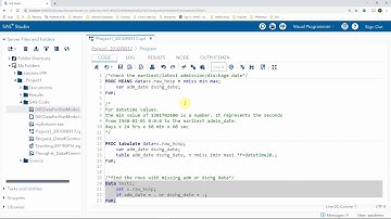 SAS BASE 013 First data set work library